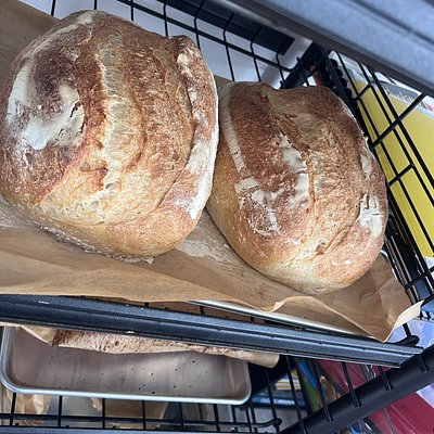 Full-size Artisan Sourdough Loaves 
