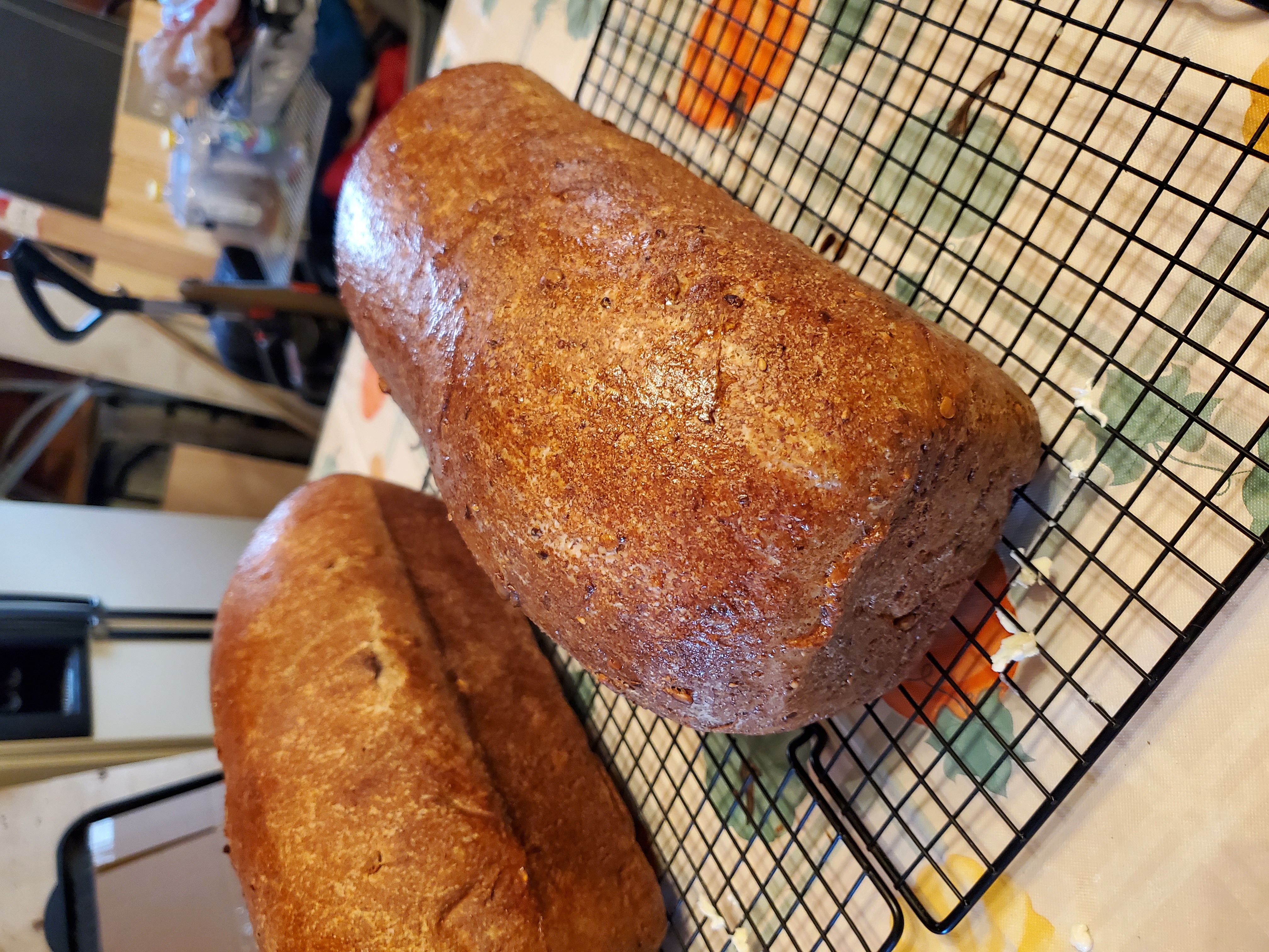 Sourdough Sandwich Half Loaf (Wheat)(~5"x7")