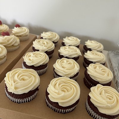 Red Velvet Cupcakes 