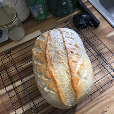 Plain Sourdough - Large 