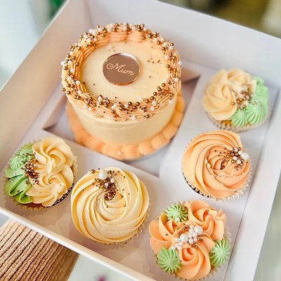 Bento Mini Cake & Cupcake Combo Box