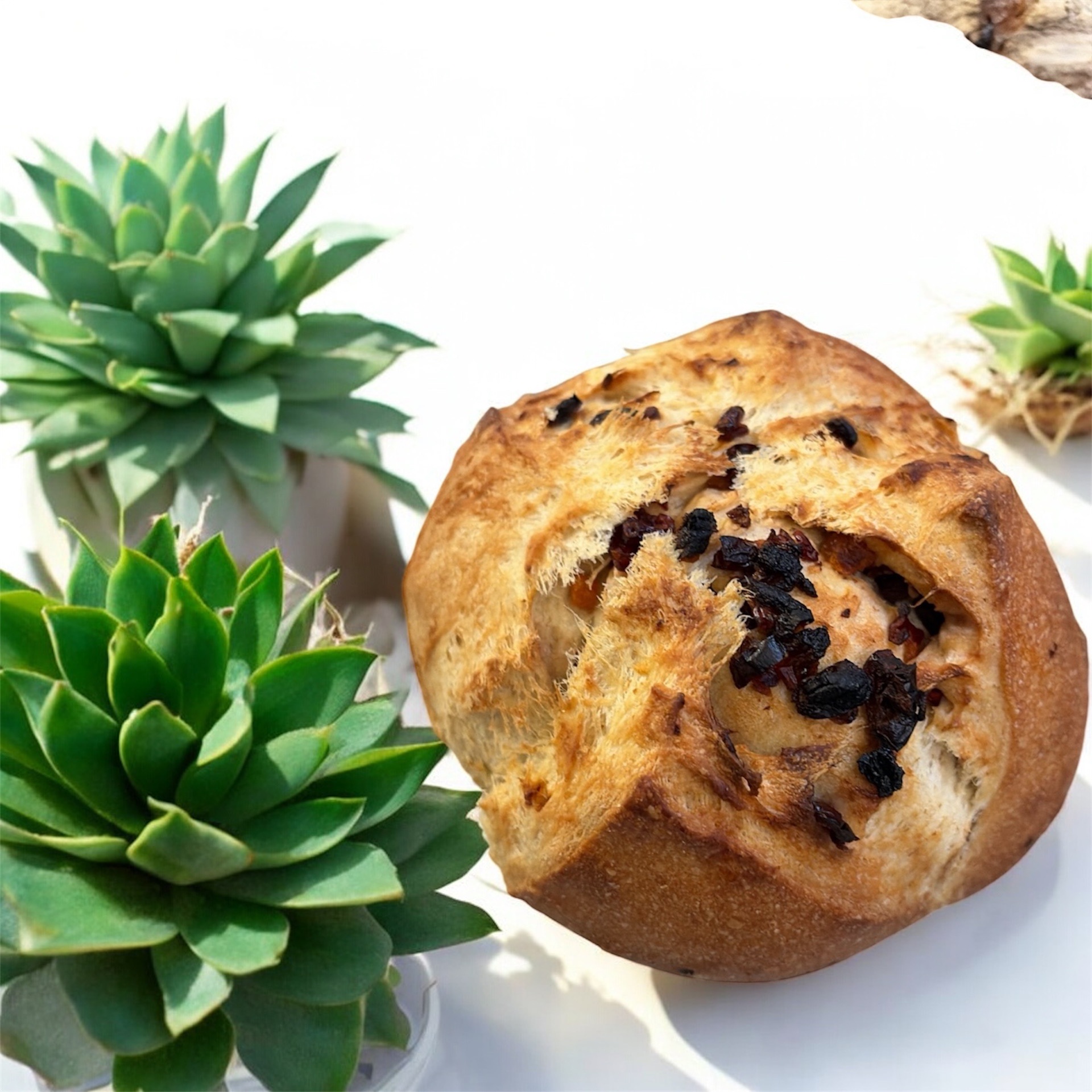 Forest Berry Country Bread