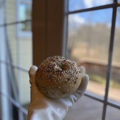 4 Sourdough Everything Bagel 