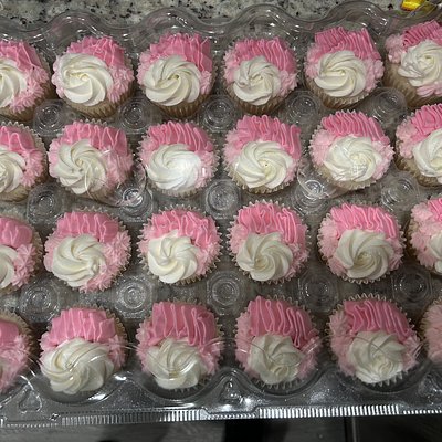 12 Pk. Basic Cupcakes