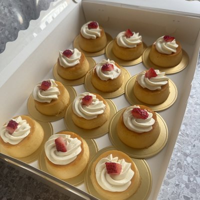 Mini Flanes 