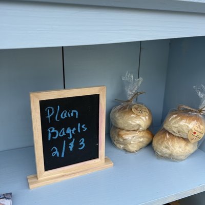 Plain Sourdough Bagels 