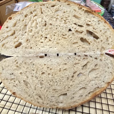 Wheat Sourdough Loaf