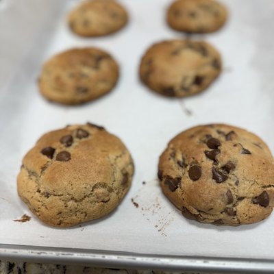 Chocolate Peanut Butter Chip Cookies - 1 Dozen
