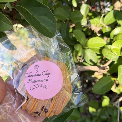 Chocolate Chip Butterscotch