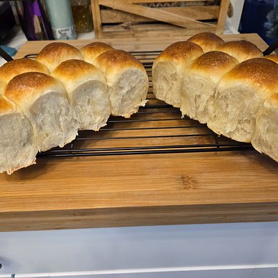 Brioche Dinner Roll