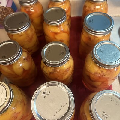 Home Canned Peaches