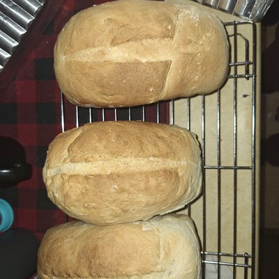 Bread