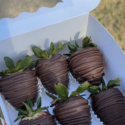 chocolate covered strawberries (half dozen) 