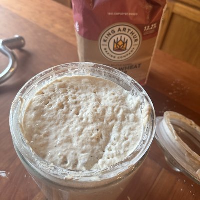 Sourdough Starter