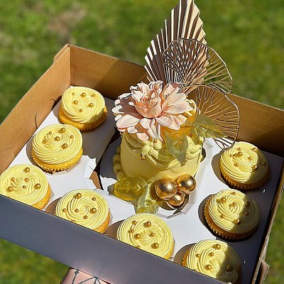 Cake Bento Box