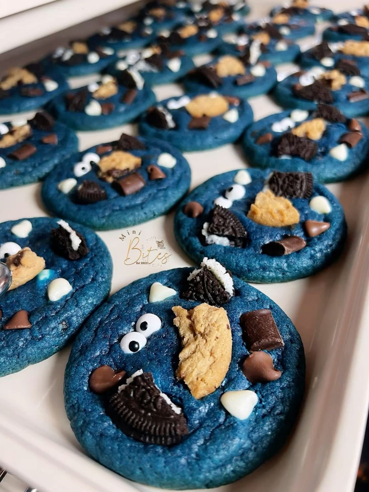 Cookie Monster 