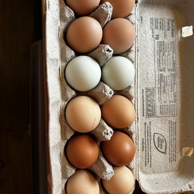 FREE-RANGE CHICKEN EGGS