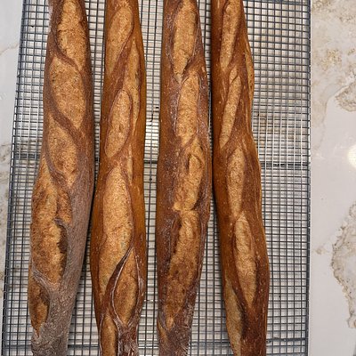 French Baguettes 