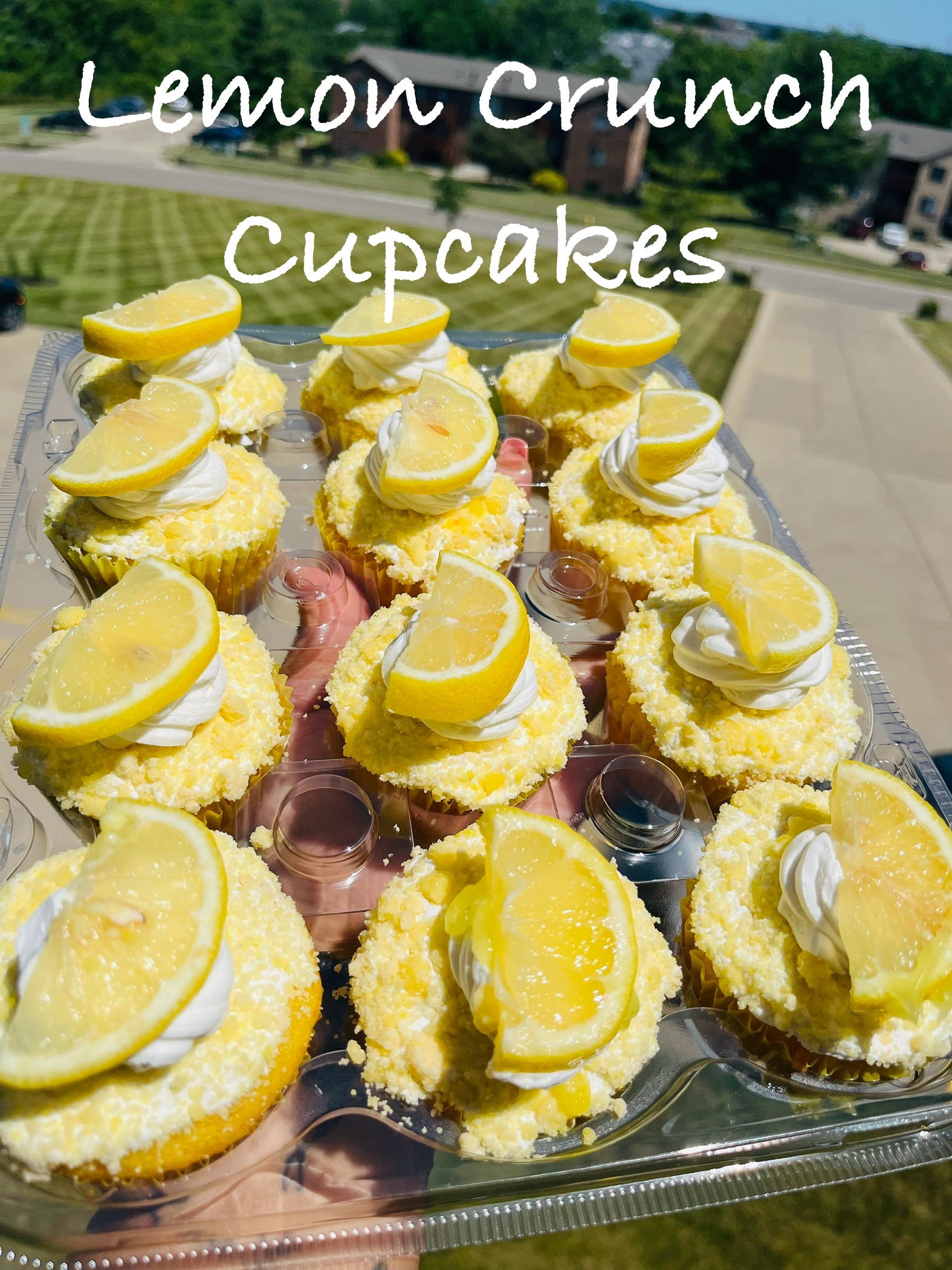 Cupcakes 