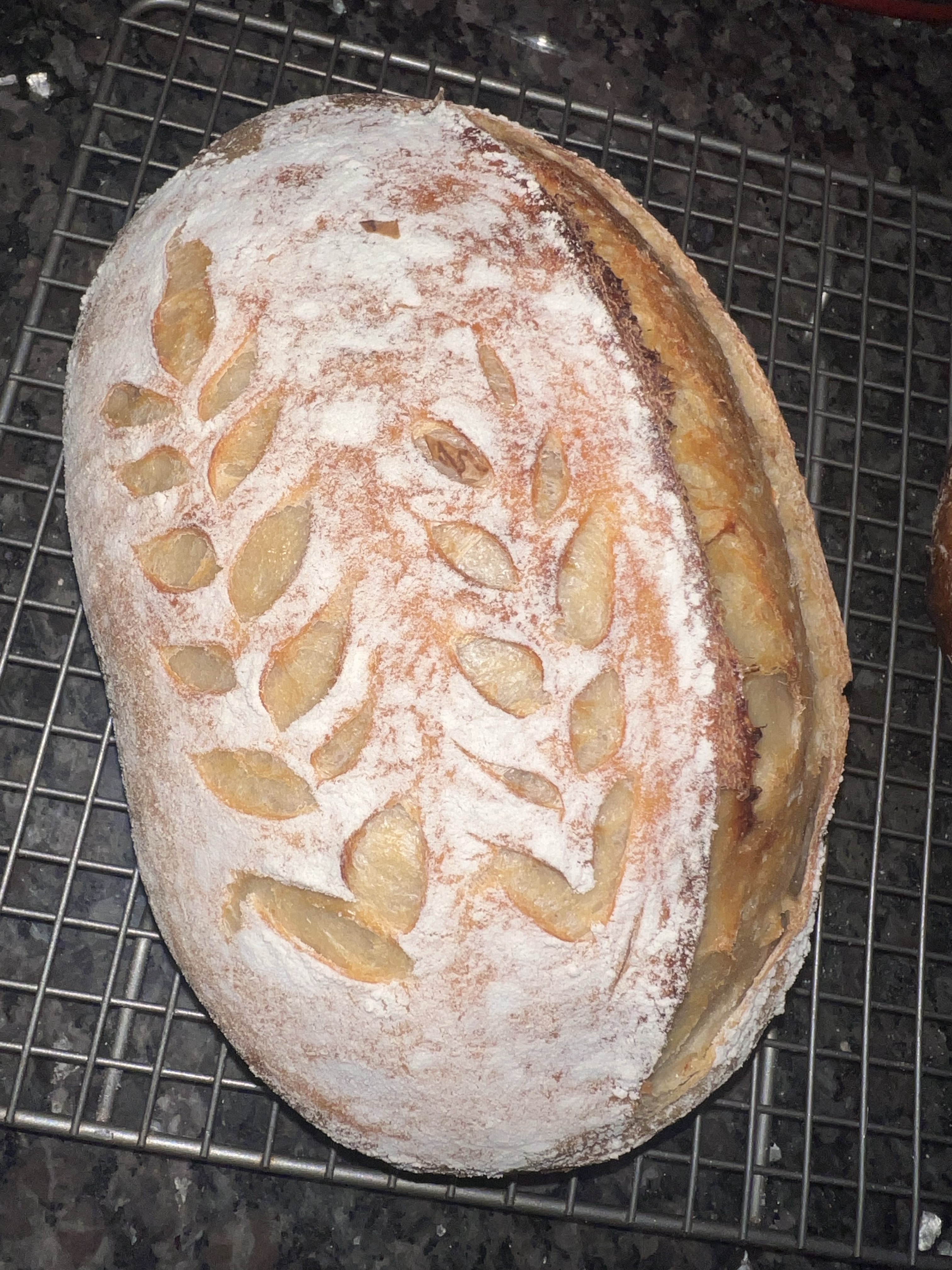 Bâtard Plain Sourdough Loaf