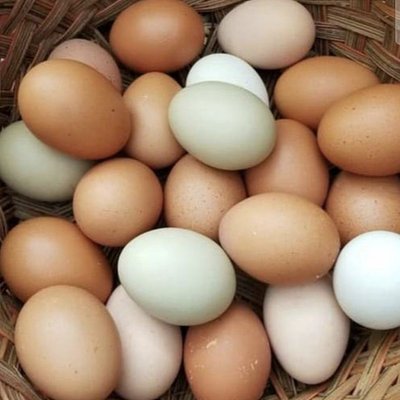 Free Range Eggs Local
