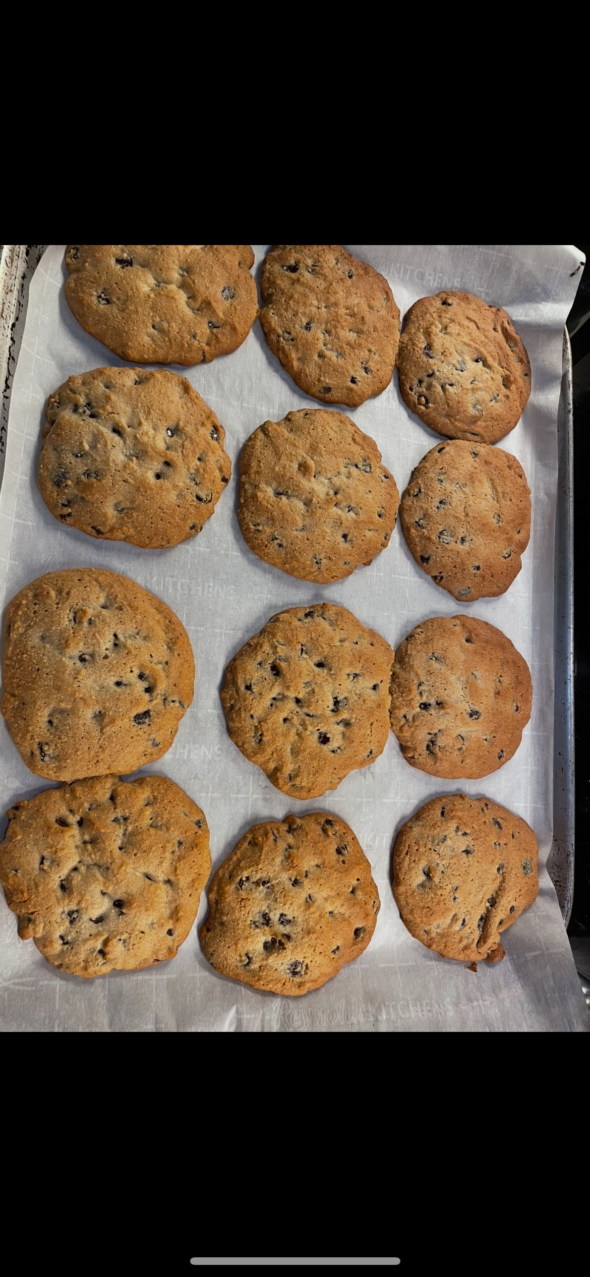 Sugar Free Gluten Free Chocolate Chip Cookies 
