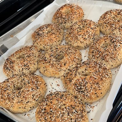 Sourdough Bagels - Everything (6pk)
