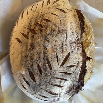 Plain Sourdough Loaf