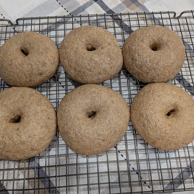 Plain Bagels (6)