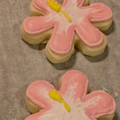 Royal Icing Sugar cookies 