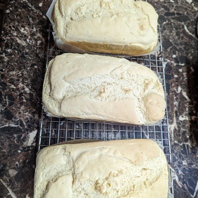 Gluten Free  Artisan Bread 