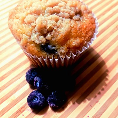 Plain Jane Blueberry Muffin