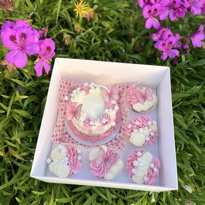 Cake & Cupcake Box
