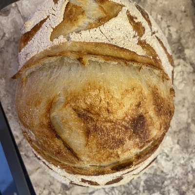Sourdough  Boule 