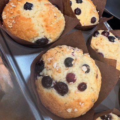 Gluten Free Sugar Free Blueberry Muffins (4 Pack) 