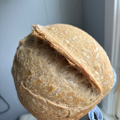 Pumpkin Sourdough Bread