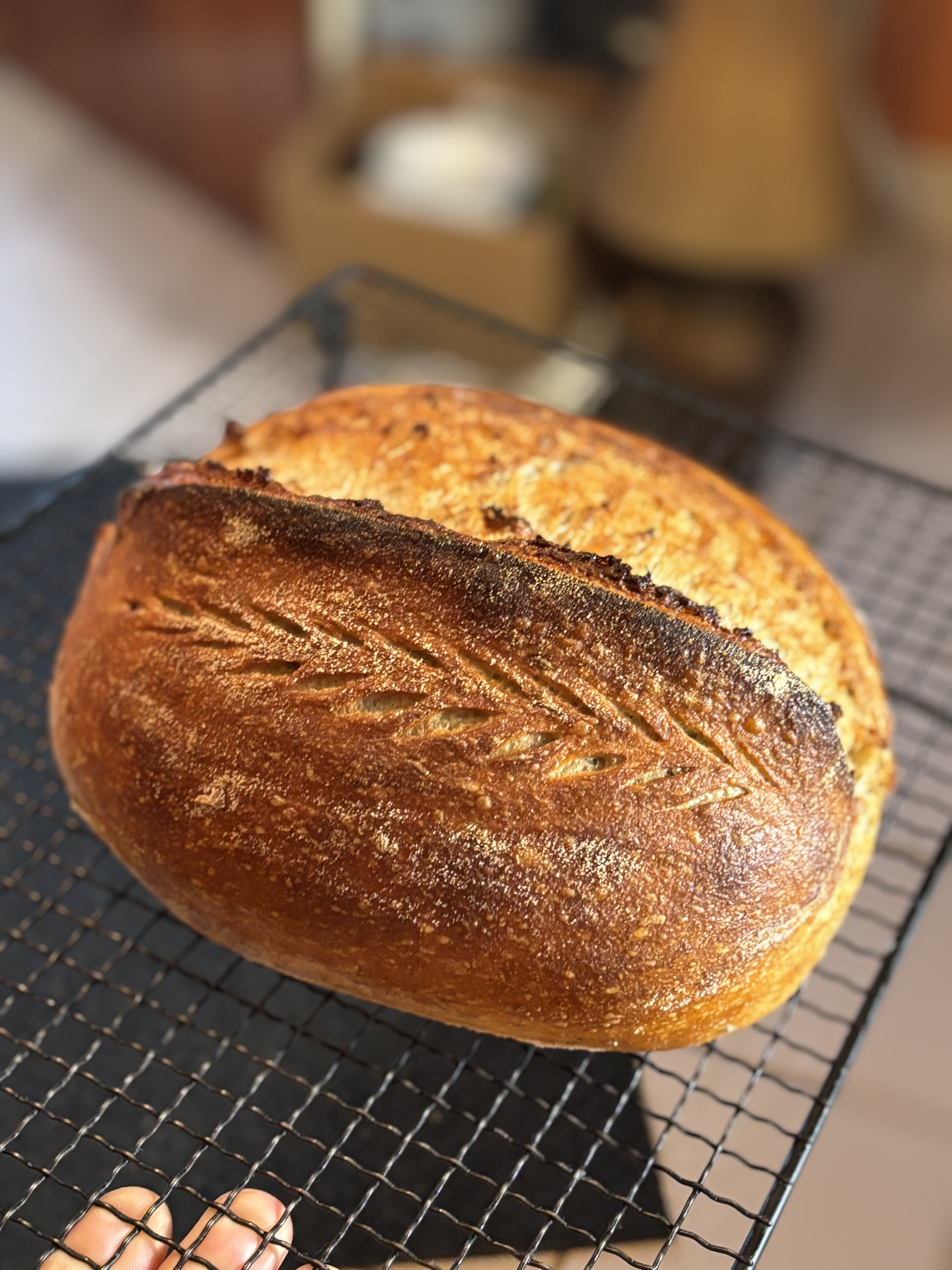 Rustic Rye Loaf 