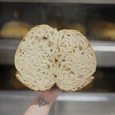 Plain White Sourdough