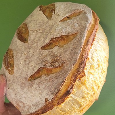 Sourdough Loaf