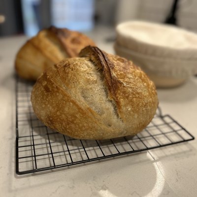 Original Sourdough 