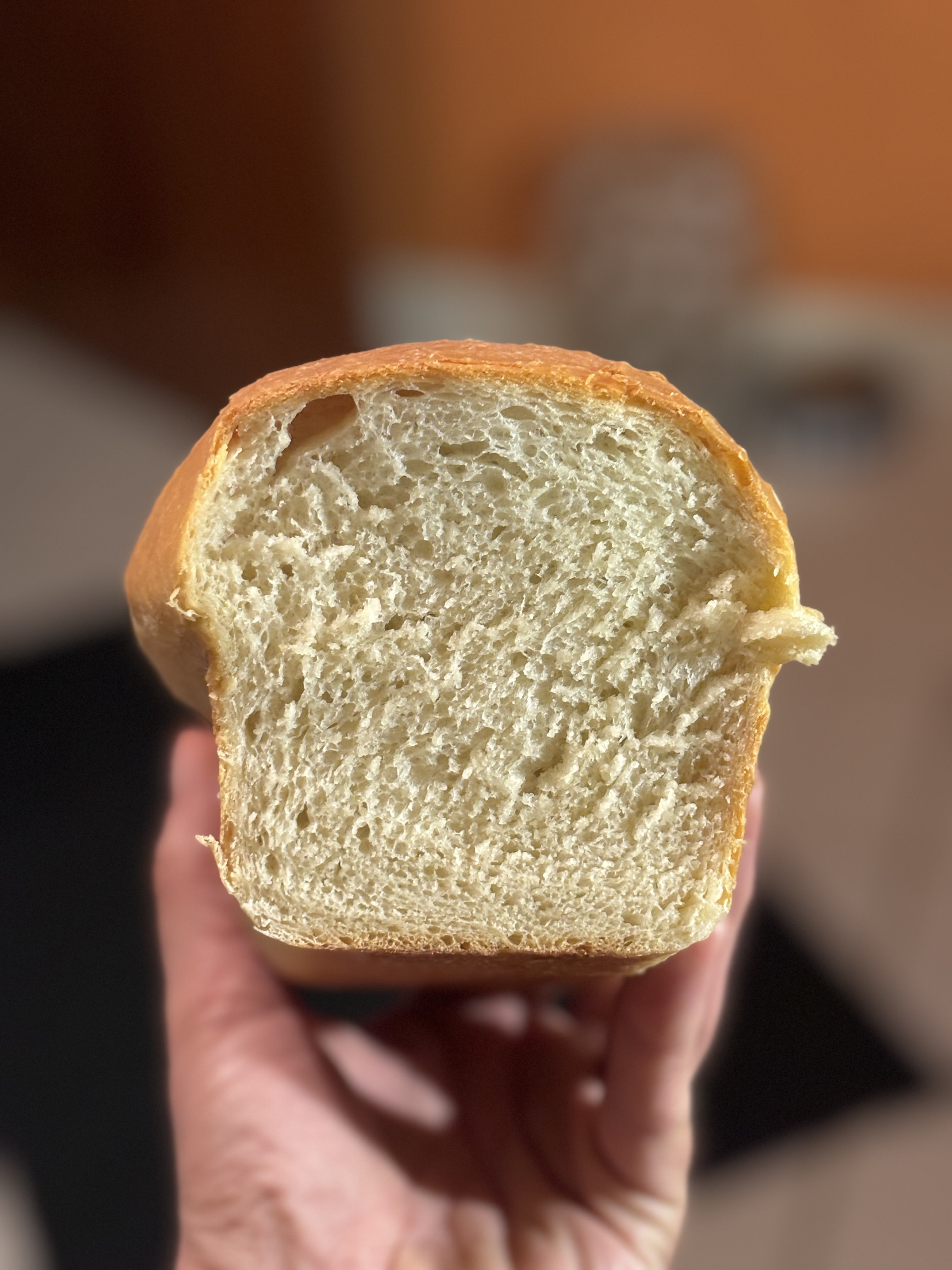 Sandwich Bread