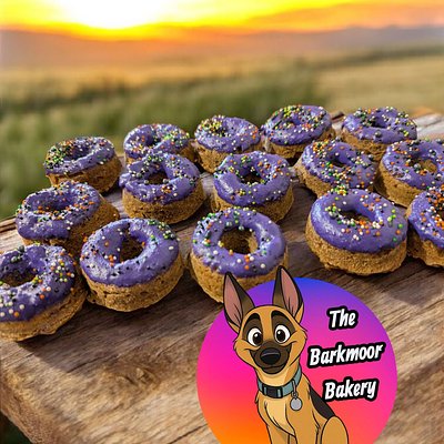 2 Pack Dipped Donuts 