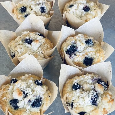 Sourdough Lemon Blueberry Muffins - 6 Count