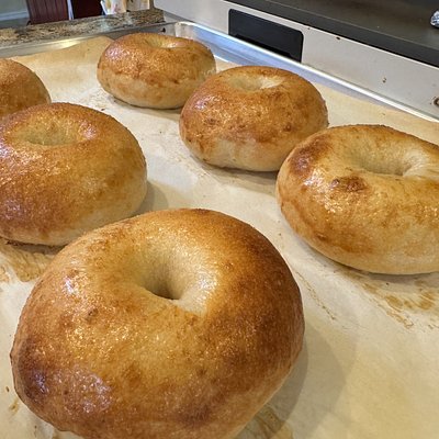 Sourdough Bagels (6 Pack)