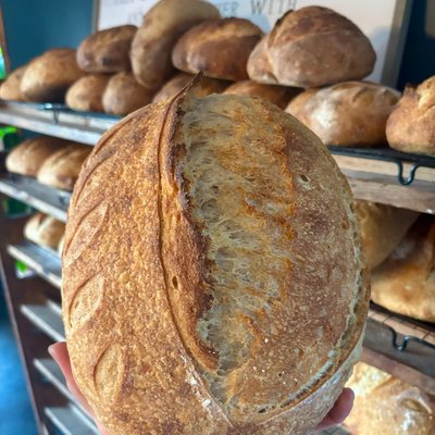 Organic Country Sourdough 