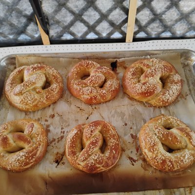 OG Salted Pretzels 