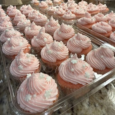 Mini Cupcakes