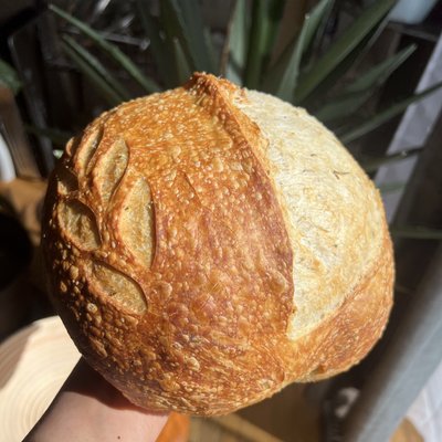 Rosemary Garlic Sourdough (24 oz)迷迭香蒜香酸种欧包