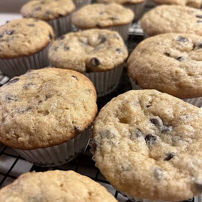 Banana Chocolate Chip 12 Count 