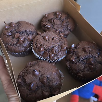 Double Chocolate Chip Muffins